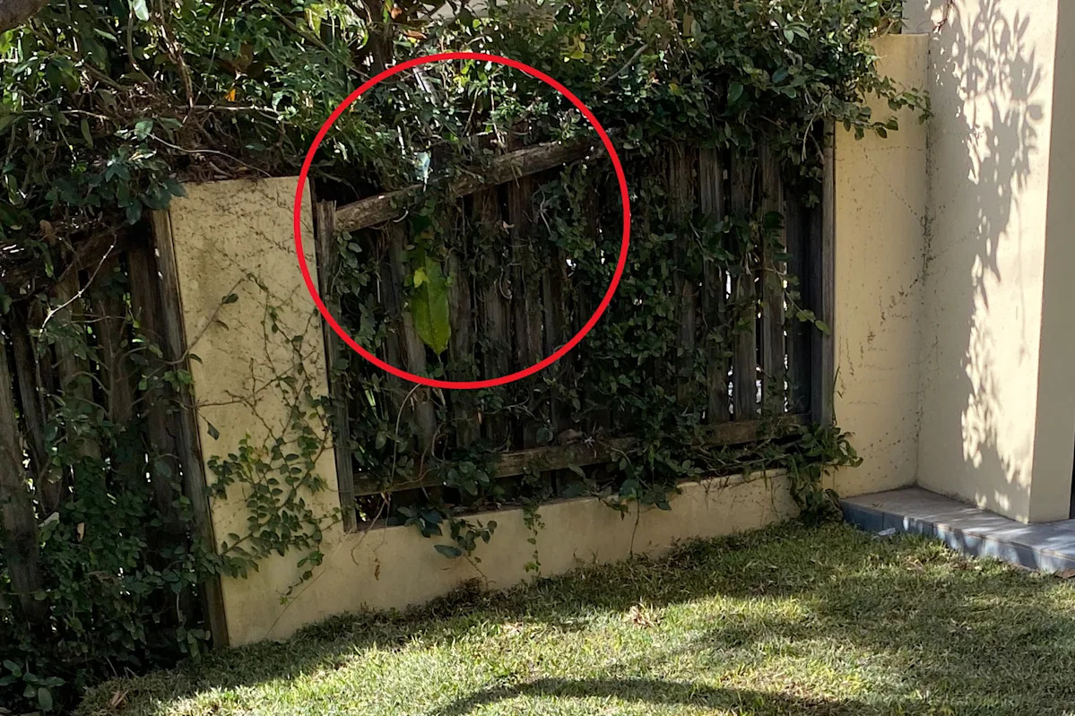 Frequent fence dispute leaves neighbor with $1,200 bill: “Doesn’t seem fair”