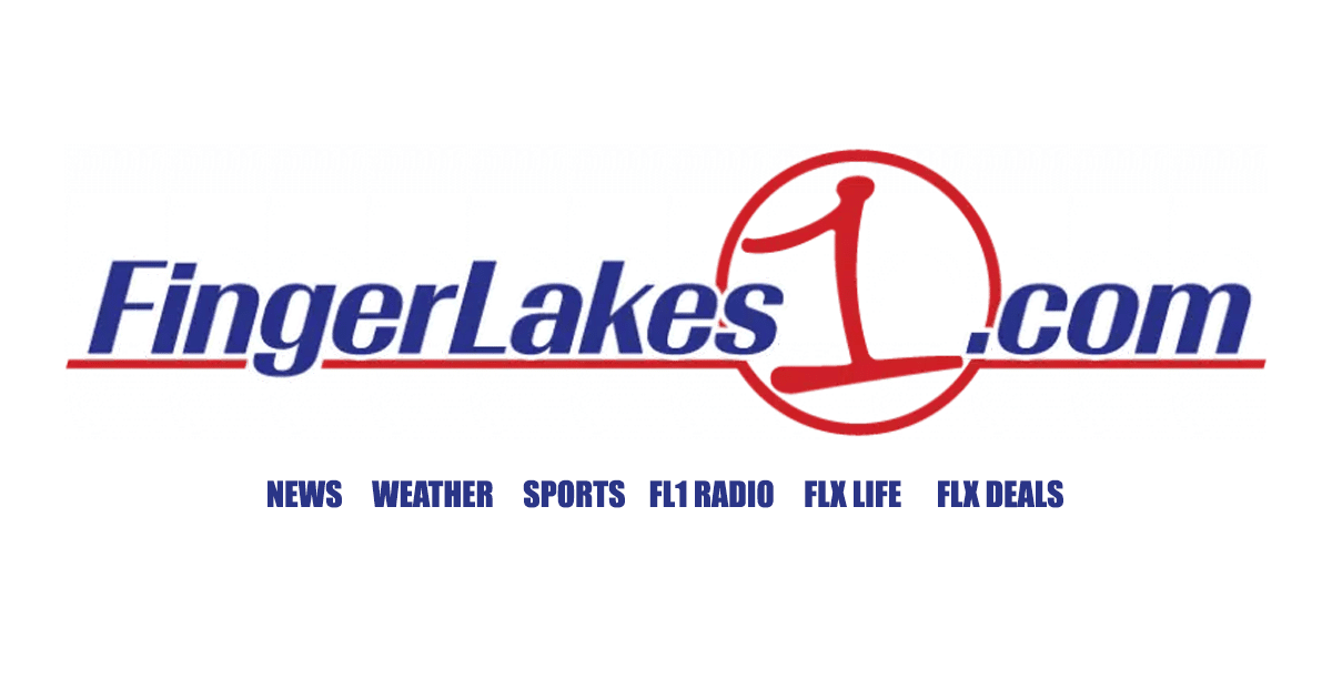 Discover new fashion designers online