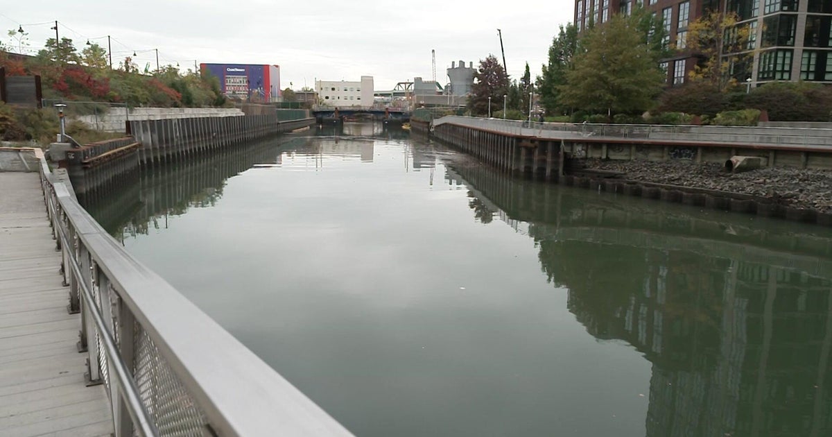 A transformation is underway along the Gowanus Canal, one of the most polluted waterways in New York City