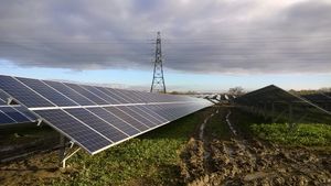 Solar panels at Wheat Leasowes. Image: Telford & Wrekin Council