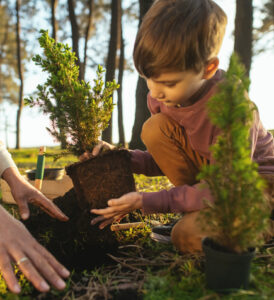 Best Practices for Saline Landscapes – The Environment Journal