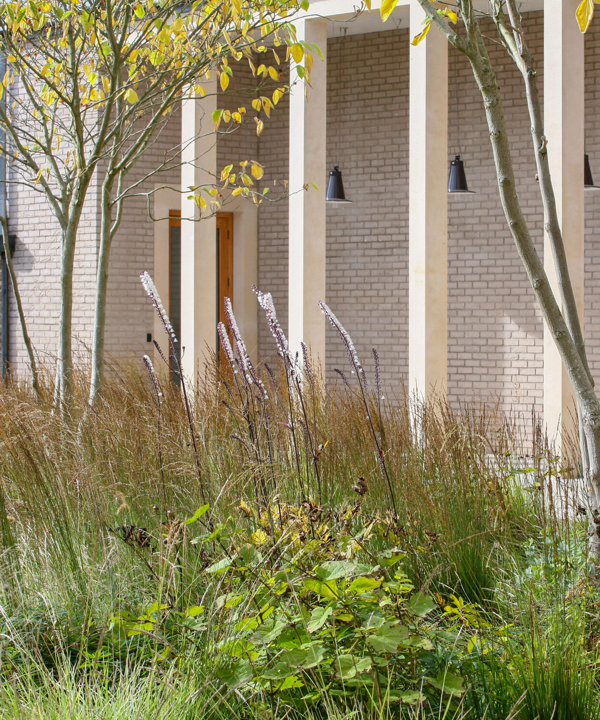 Courtyard garden with prairie planting