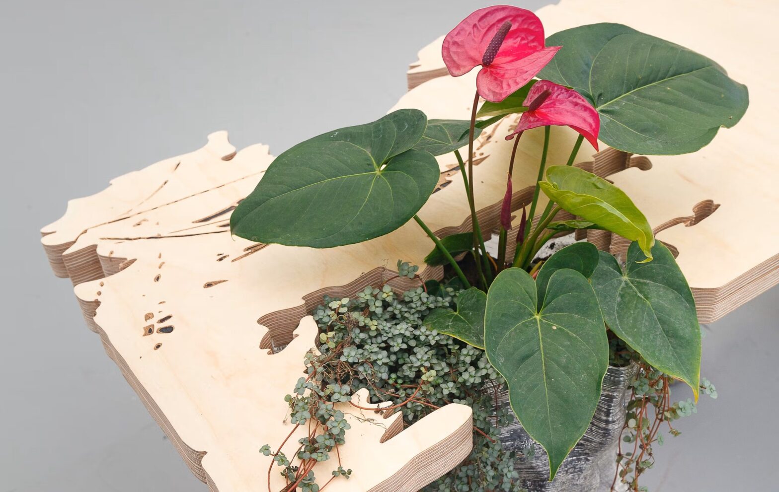 Everything French at Miami Art Week 2025