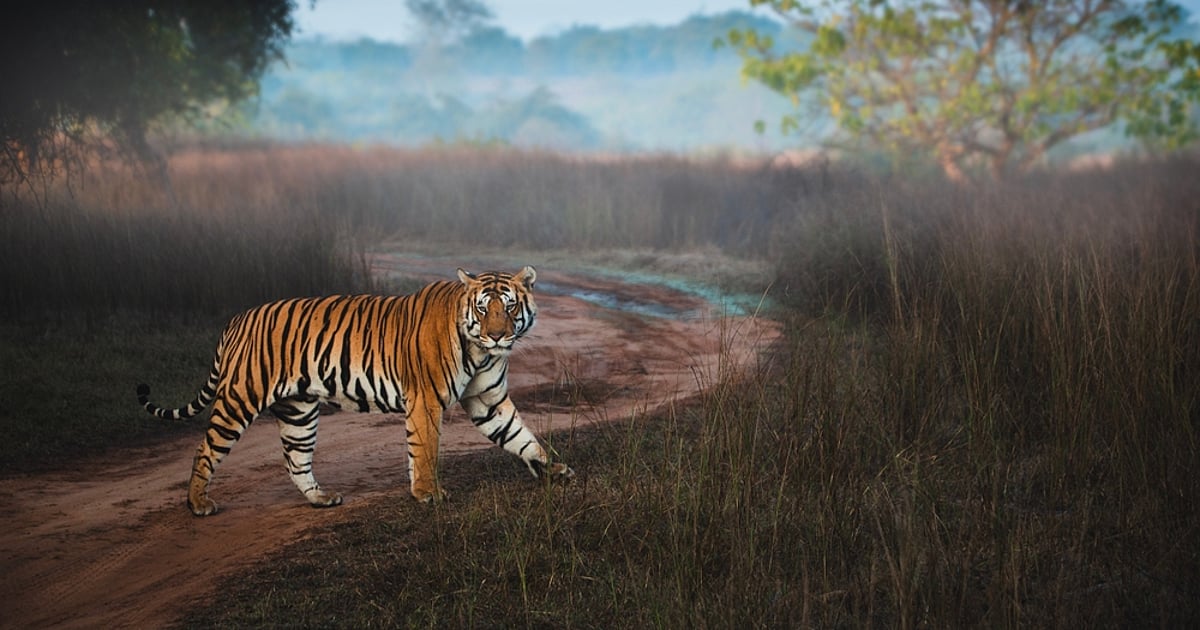 How TOFT is changing sustainable travel in South Asia