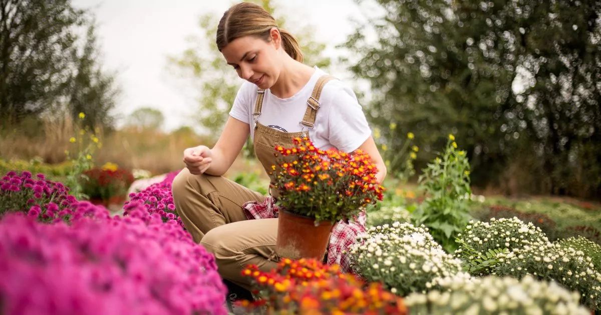 “I'm a garden designer and I swear by this 49p planting hack”