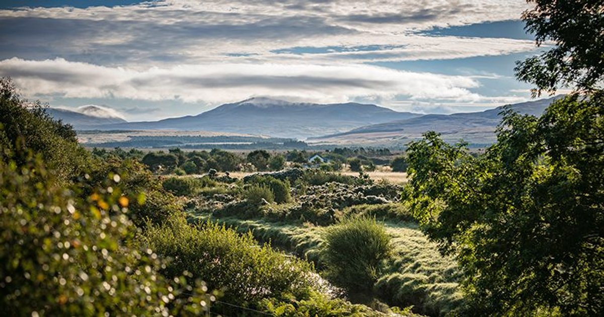 Insight into Diageo's commitment to sustainable peat sourcing
