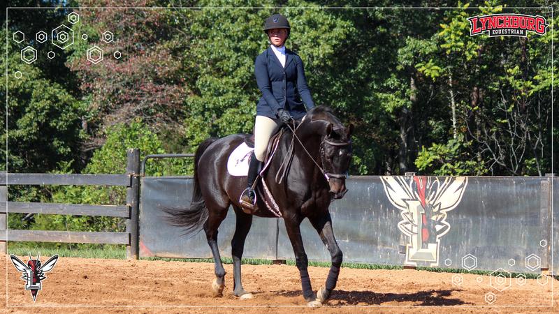 Lynchburg Equestrian has a solid showing at VT IHSA