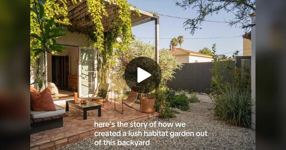 Backyard, boring, dilapidated, renew, remodel, new, patio, DIY, gardening, sustainability, create a garden