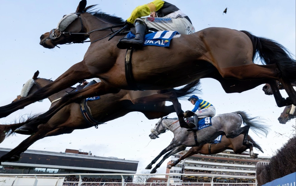 Newbury Coral Gold Cup trends for Saturday 2.55 - Paddy Power News