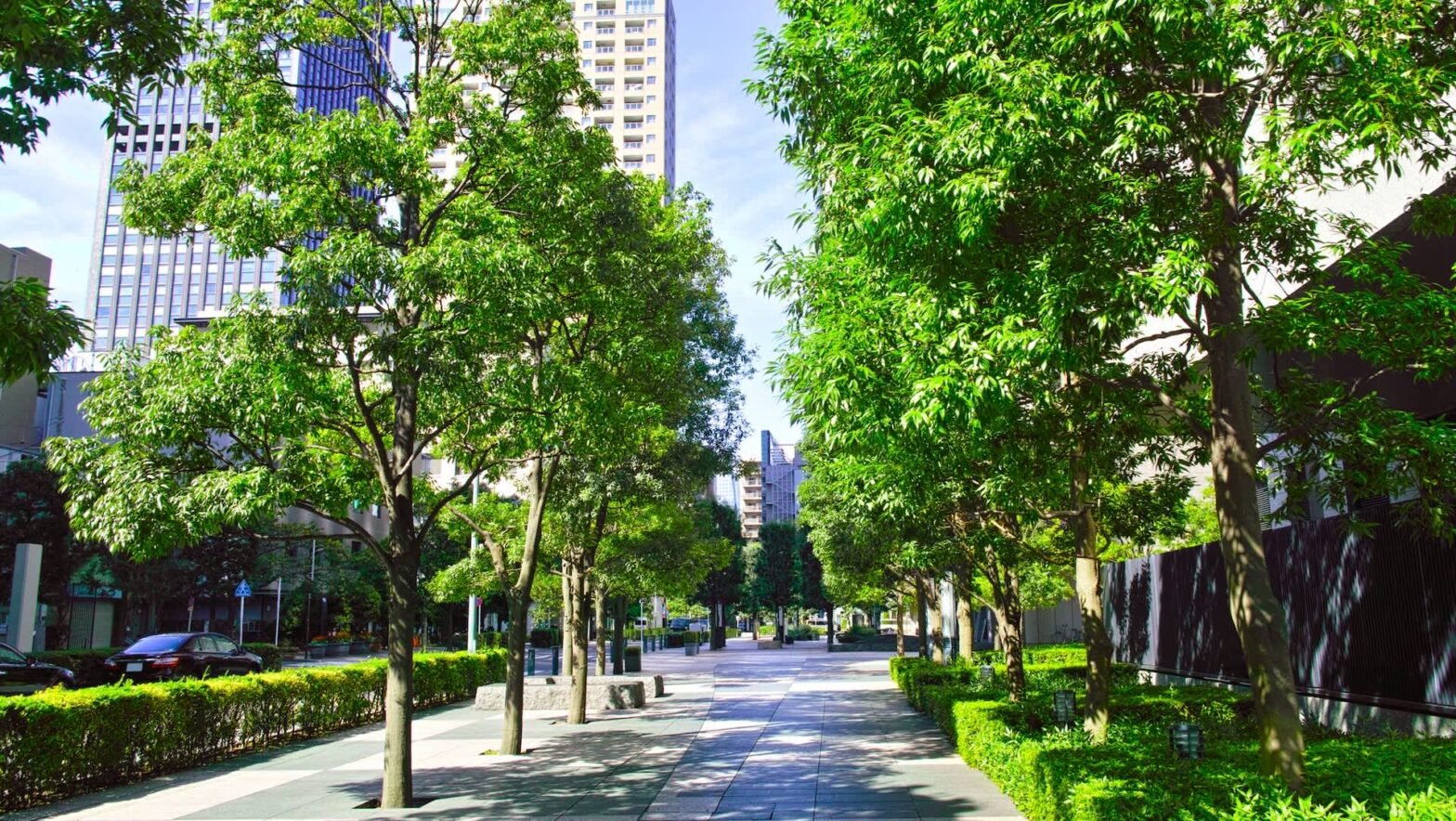 “We are actively examining options”