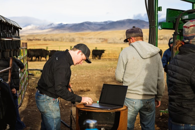 On ranches in Wyoming, virtual fences keep cows out and barbed wire out