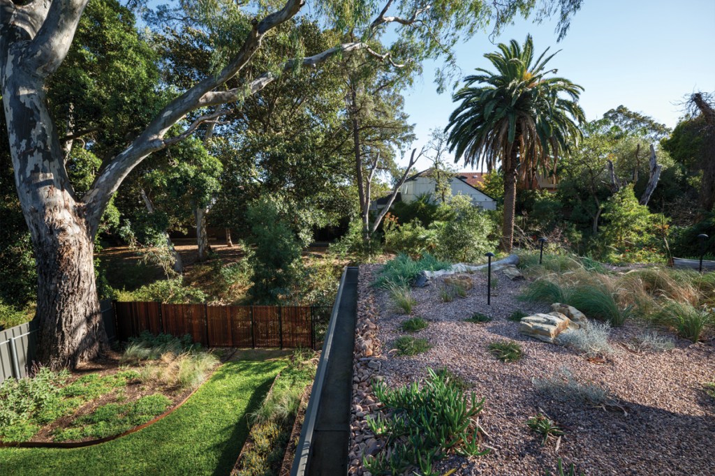 Tradition meets innovation – SALIFE