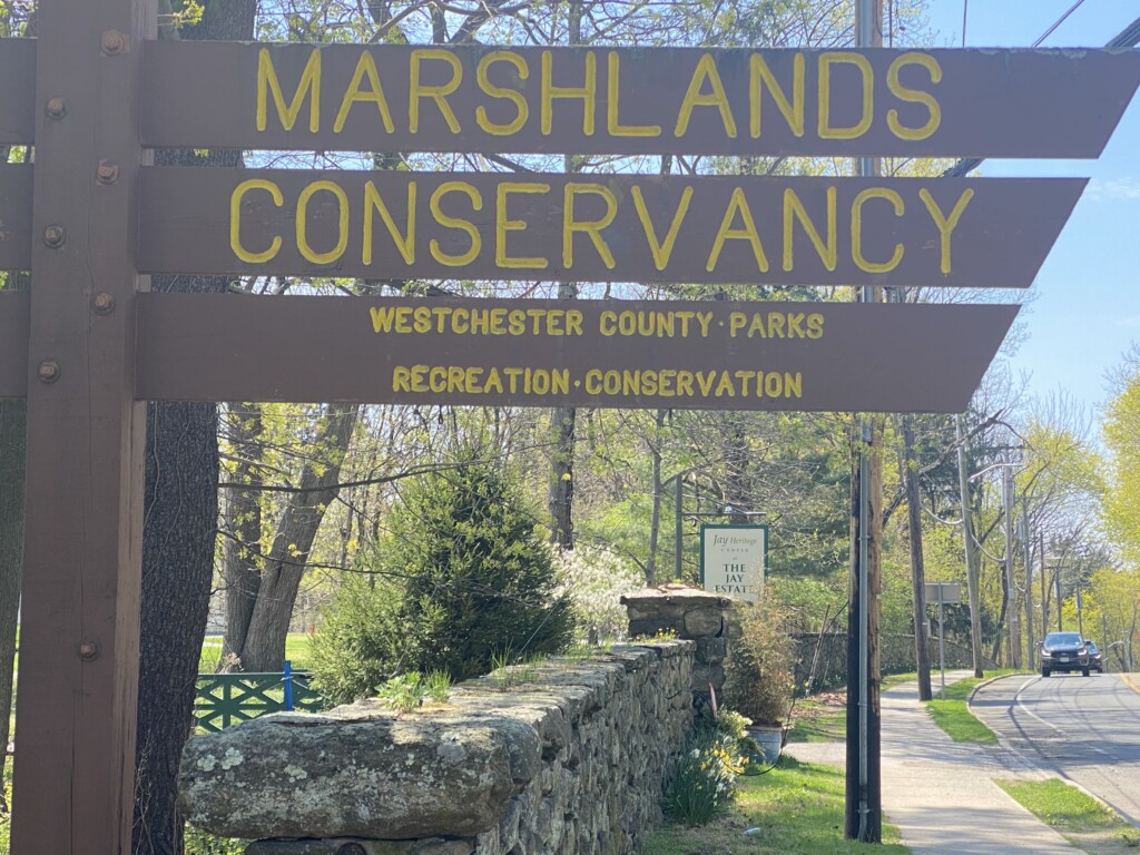 Skepticism and calls for transparency greet Marshlands Conservancy's expansion plans