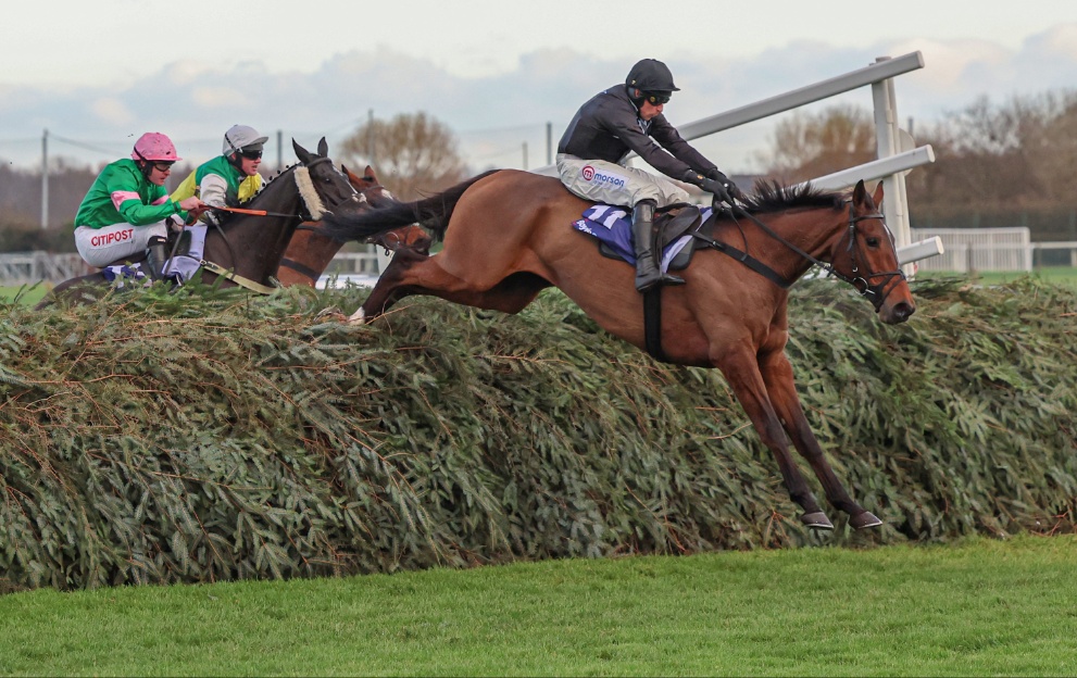 Aintree Mug Chase trends for Saturday 2.40 - Paddy Power News