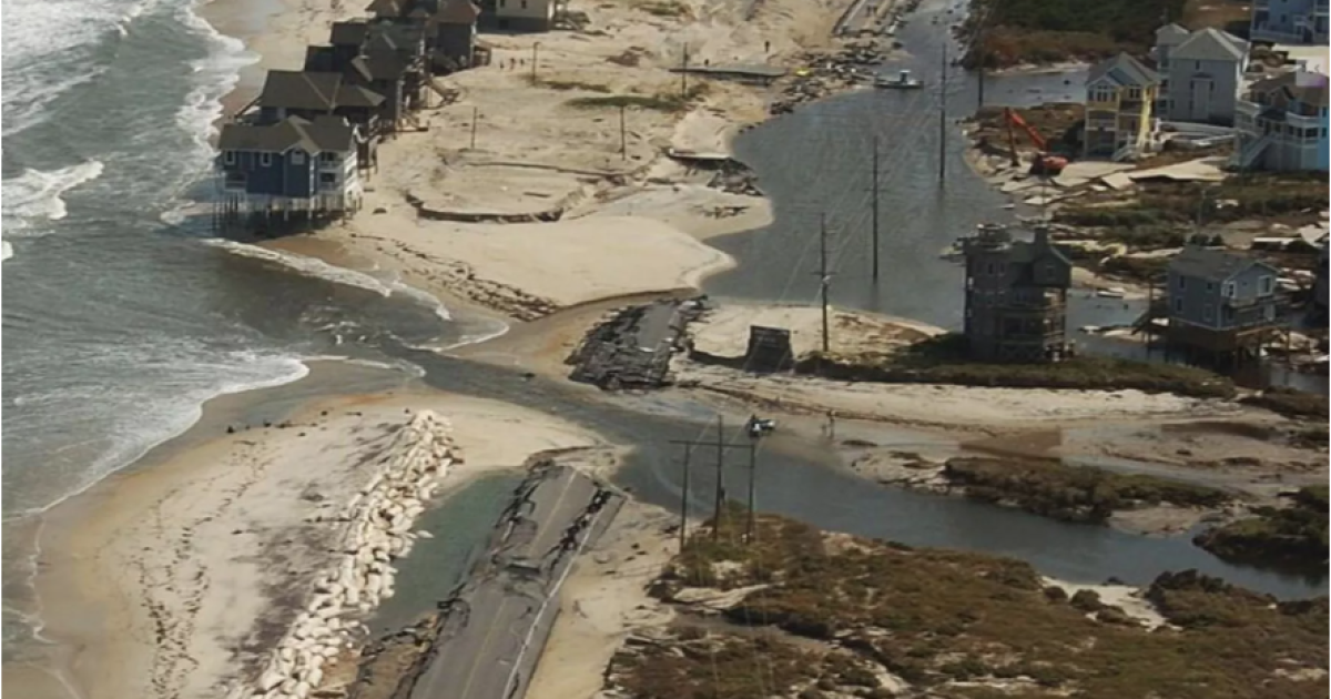 Coastal experts at the University of Florida discuss using nature to reduce storm damage