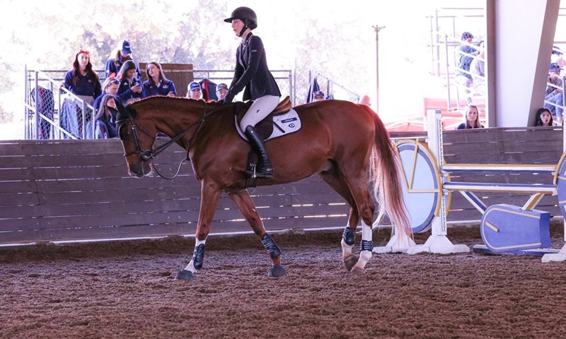 ECAC announces Driver of the Month for November