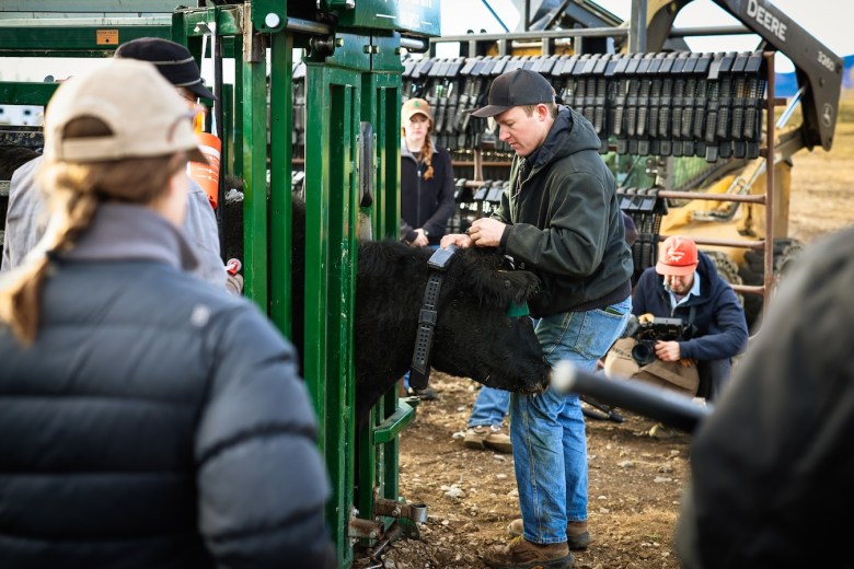 On ranches in Wyoming, virtual fences keep cows out and barbed wire out