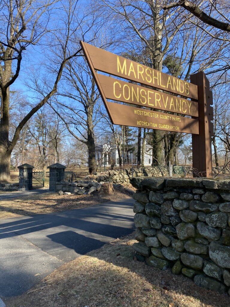(PHOTO: The entrance to the Marshlands Conservancy on Boston Post Road in Rye. The private Lounsbury estate, seen in the background, is immediately to the east. Archive photo.)