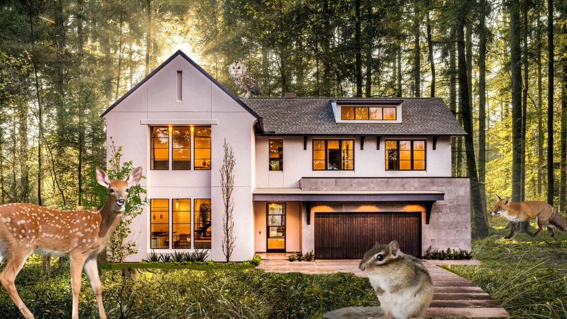 Suburban development could become a surprising tool in America's fight to restore wildlife habitat The Apopka Voice